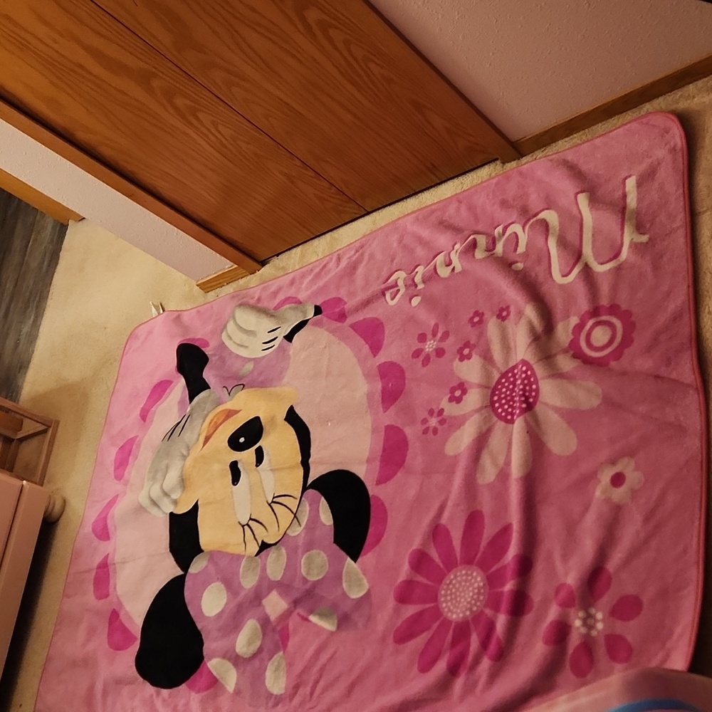 Minnie Mouse Rug